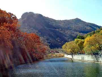 新澳天天开奖资料大全旅游团，师父搞